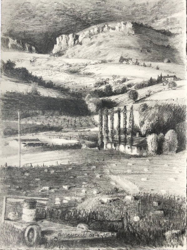 Picture